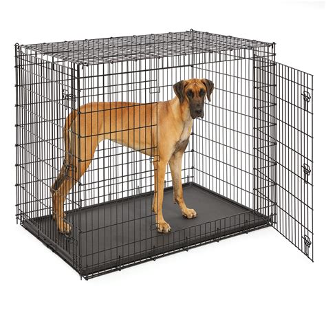 midwest xxl dog crate